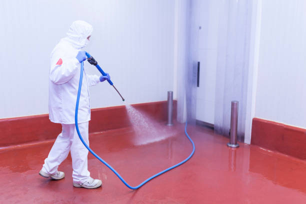 Best House Exterior Washing  in Virginia Beach, VA